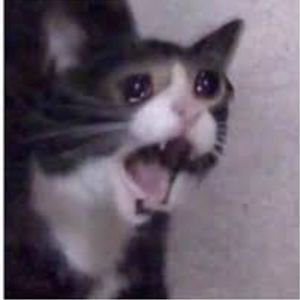 Meet your Posher, Brady